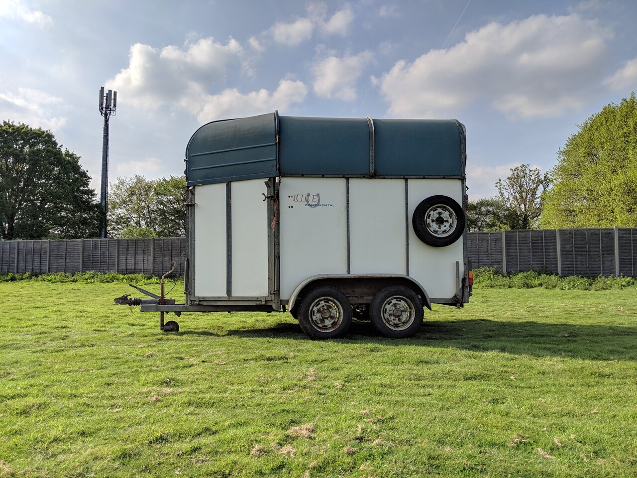 Used Rice Continental Small Horse Trailer