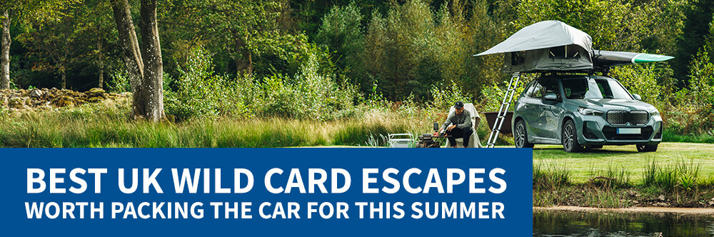 Best Wild Card Escapes Worth Packing the Car for