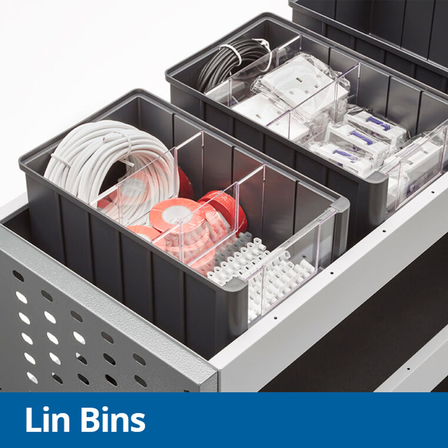 Lin Bins