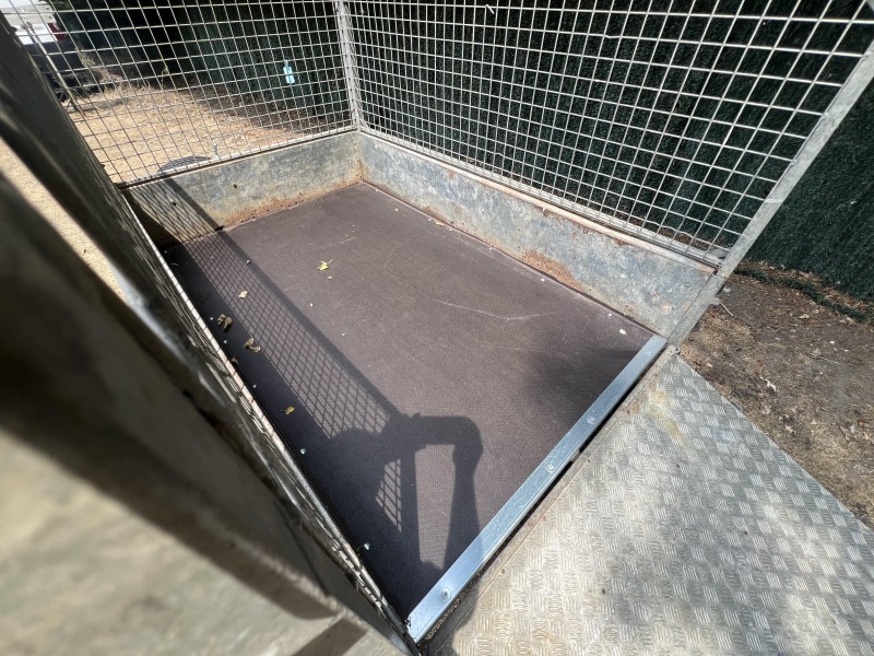 Used Ifor Williams P6e Unbraked Trailer with Mesh Sides and Loading Ramp for Sale