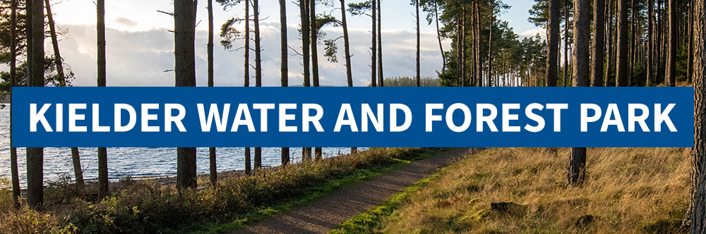 Kielder Water and Forest Park wild card escape
