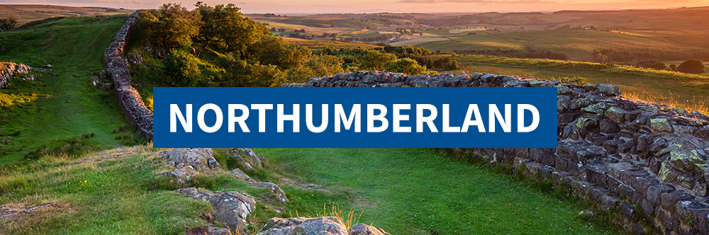 Northumberland Coast beach trip