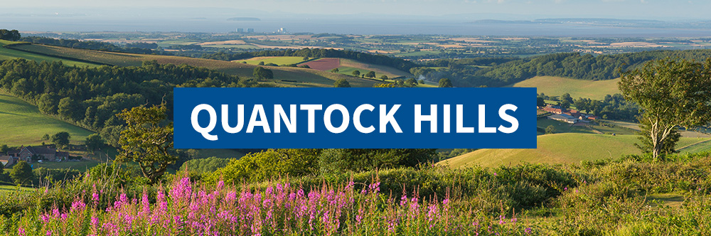 Quantock Hills wild card escape