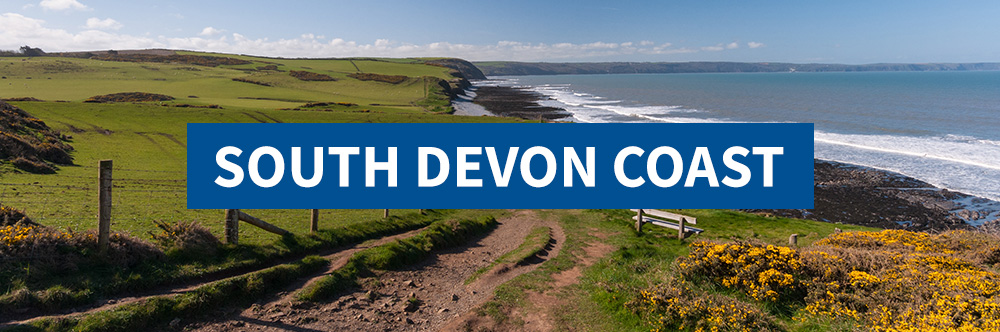 South Devon Coast beach trip